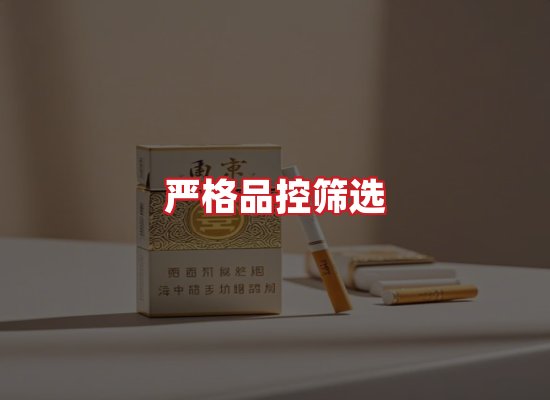 专业团队